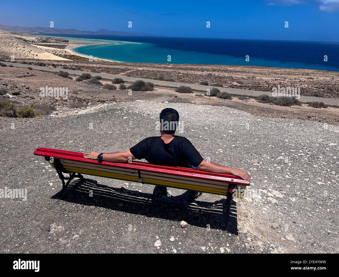 uomo sulla schiena seduto sulla panchina di fronte al mare Foto Stock