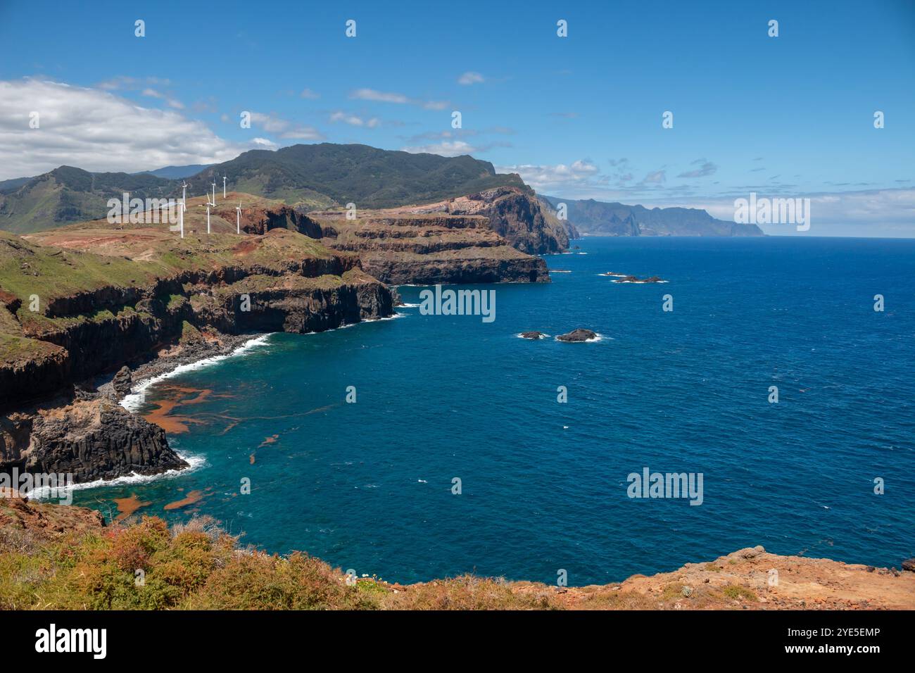 Scogliere della penisola e dell'oceano Atlantico durante il giorno di sole in primavera. Cielo blu con nuvole bianche. Vulcao Penha de Aquia, Madeira, Portogallo. Foto Stock