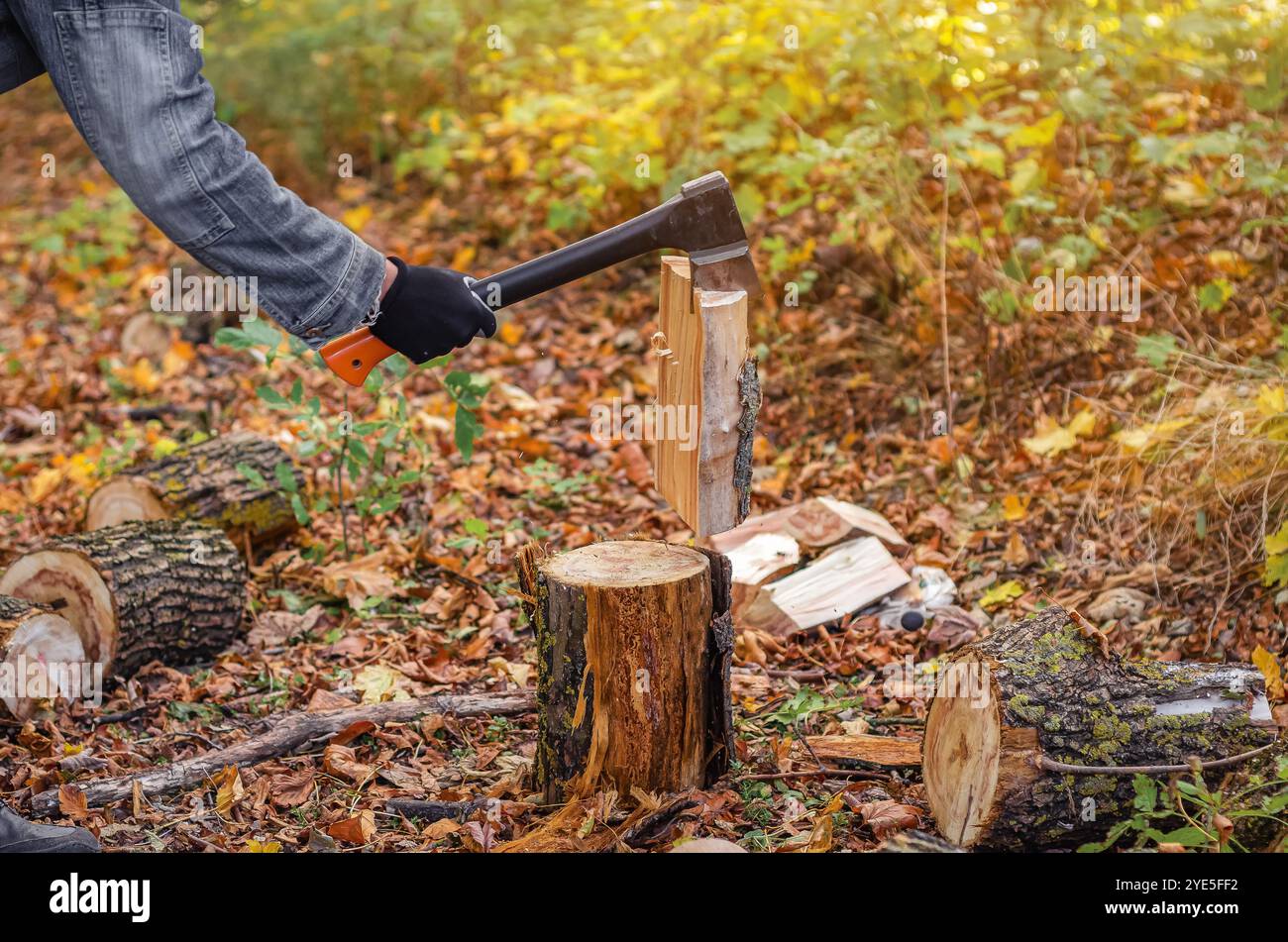 Lumberjack che divide il legno su un ceppo con un'ascia Foto Stock