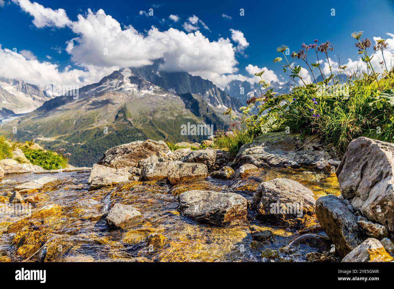 La vetta del Petit Dru mostra aspre cime e formazioni rocciose contro il cielo limpido. Vetta rocciosa di Aiguilles de Dru, les Drus nelle Alpi di Chamonix Foto Stock