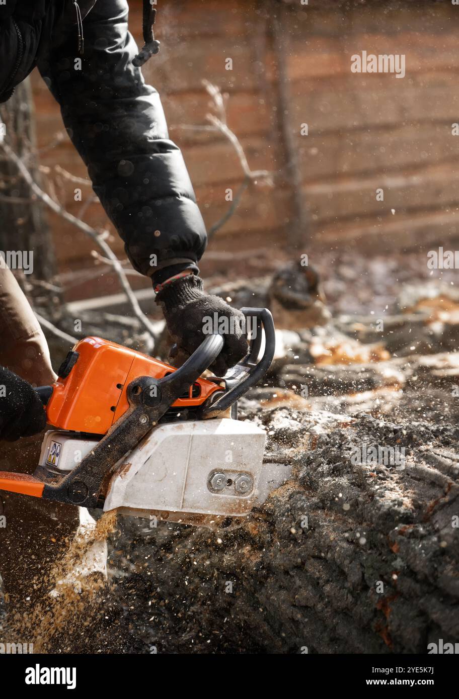 Un arborista con una motosega in mano, che segava un albero. Smaltimento degli alberi morti. Foto Stock Un arborista con una motosega in mano, che segava un albero. Smaltimento degli alberi morti. Foto Stock
