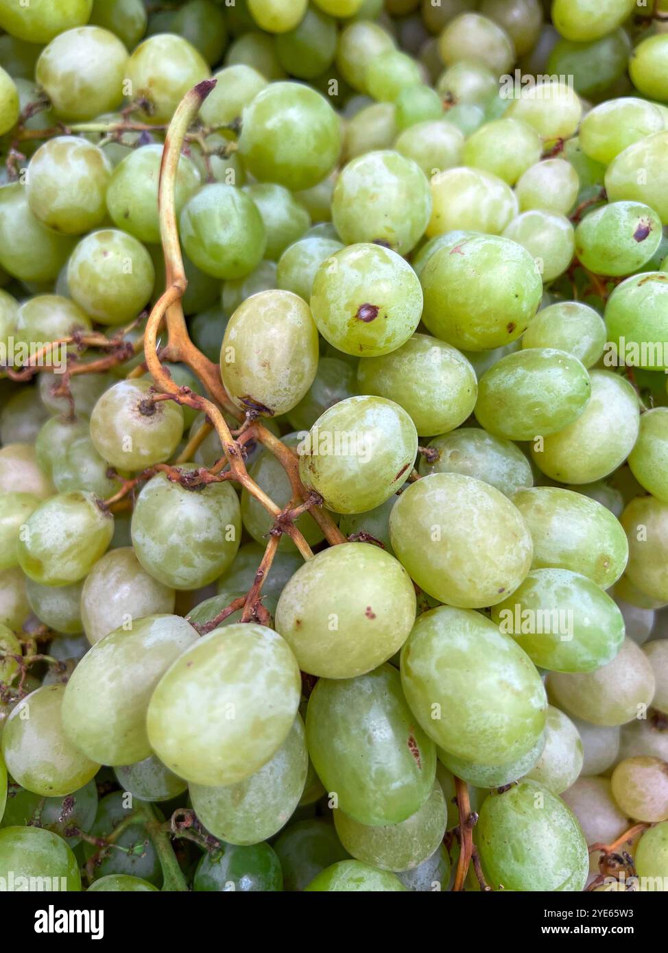 Sfondo di vino uva verde, vino di uva verde dal mercato. Frutta dal mercato. Foto Stock