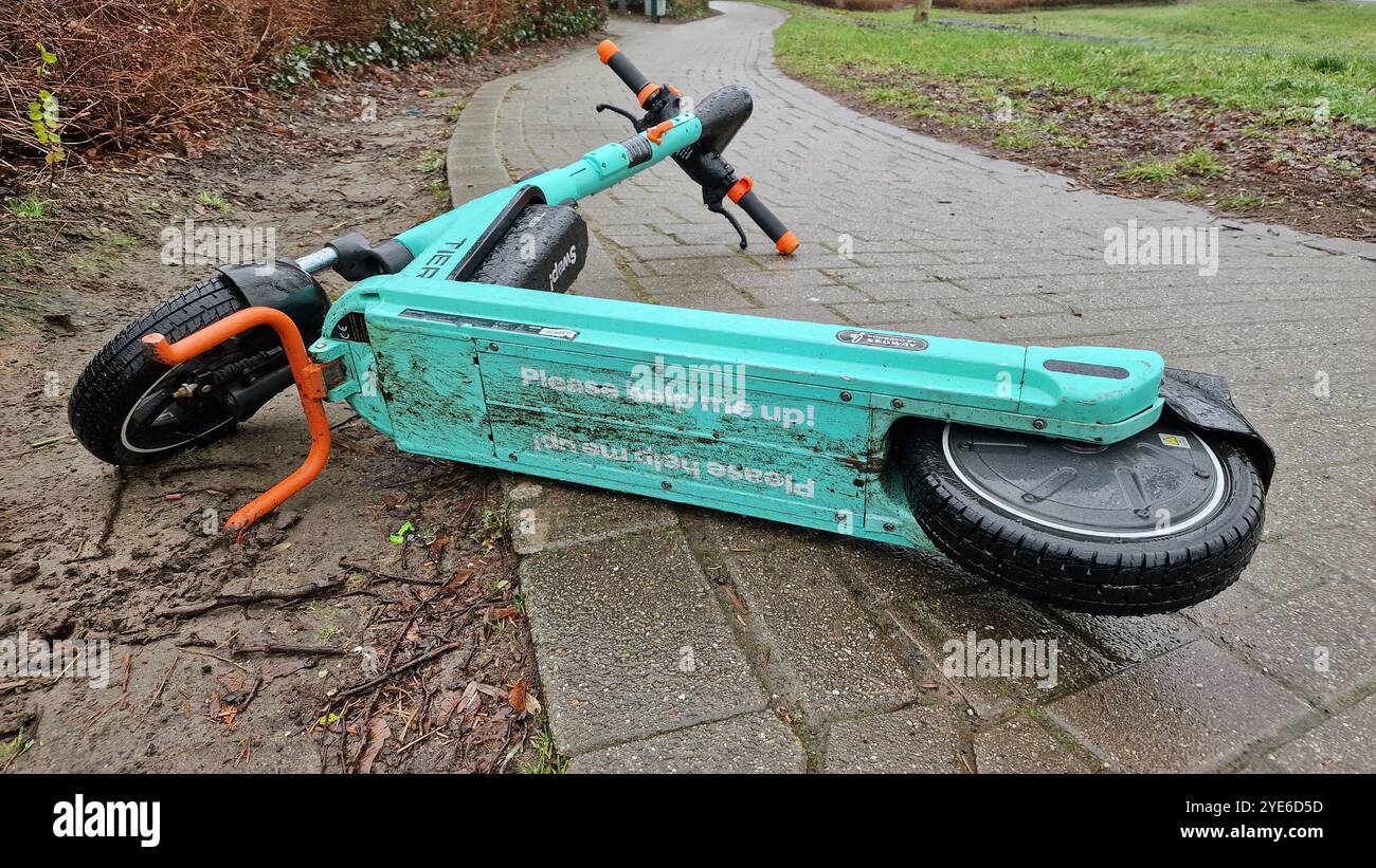 E-scooter adagiato su un sentiero nel parco, con scritto "Please help me up" scritto sul lato inferiore, Germania Foto Stock