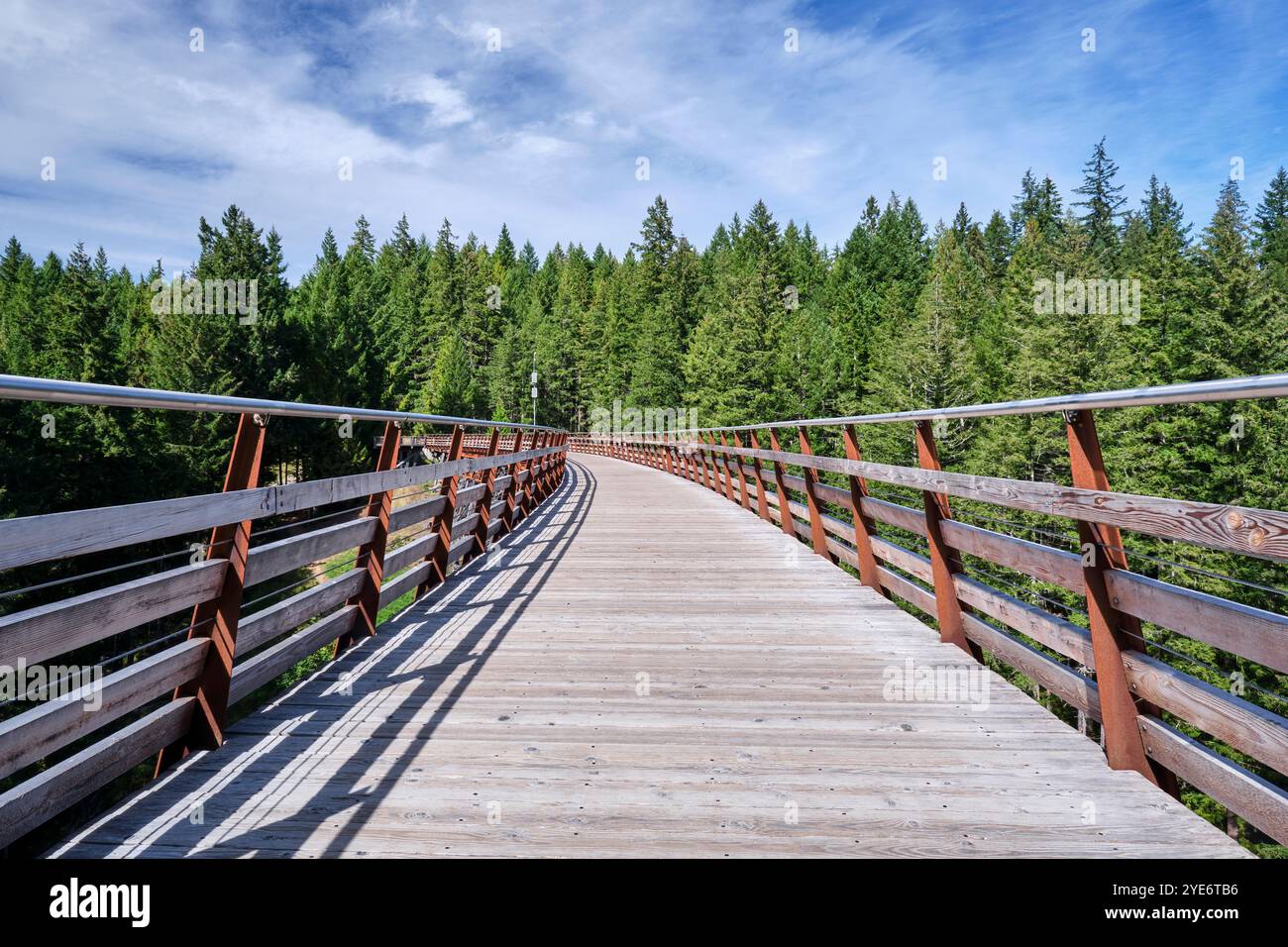 Una vista lungo il sentiero del ponte ferroviario Kinsol Trestle mentre curva tra gli alberi sul lato opposto del fiume Koksilah. Foto Stock