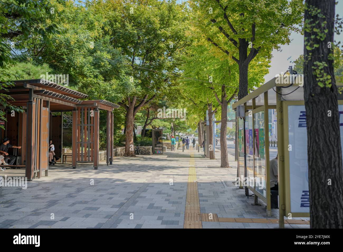 Marciapiede con una fila di alberi e una fila di panchine. Una fermata dell'autobus si trova nel mezzo del marciapiede Foto Stock