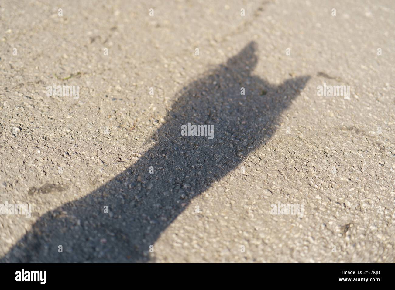Sagoma di un piccolo cane sull'asfalto Foto Stock