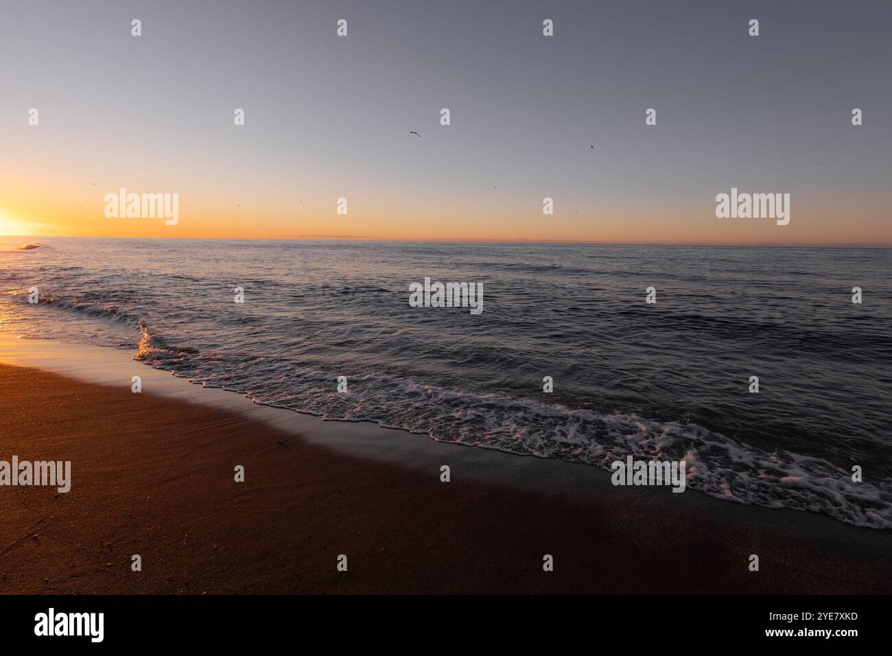 splendida alba sul mare con le onde Foto Stock
