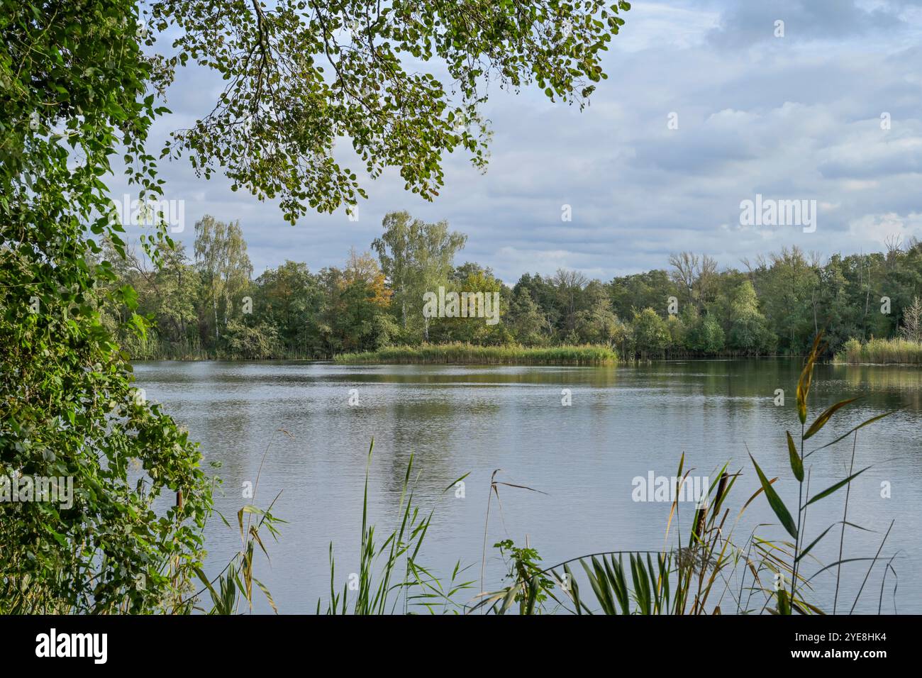 Teich, Deetzer Erdlöcher, Groß Kreutz, Brandeburgo, Deutschland *** stagno, Deetzer Erdlöcher, Groß Kreutz, Brandeburgo, Germania Foto Stock