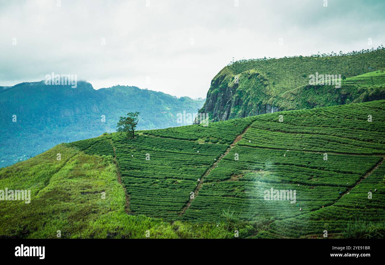 Bellissime foto di paesaggi Foto Stock