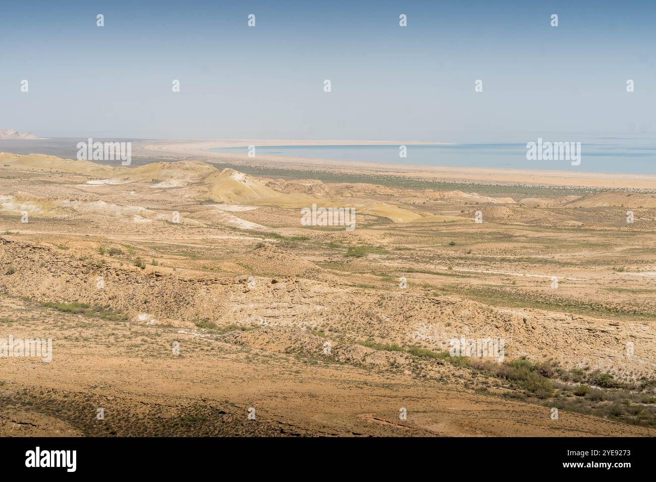 La riva del mare di Aral, il lago morente in Asia centrale e il disastro ambientale, in Uzbekistan. Foto Stock