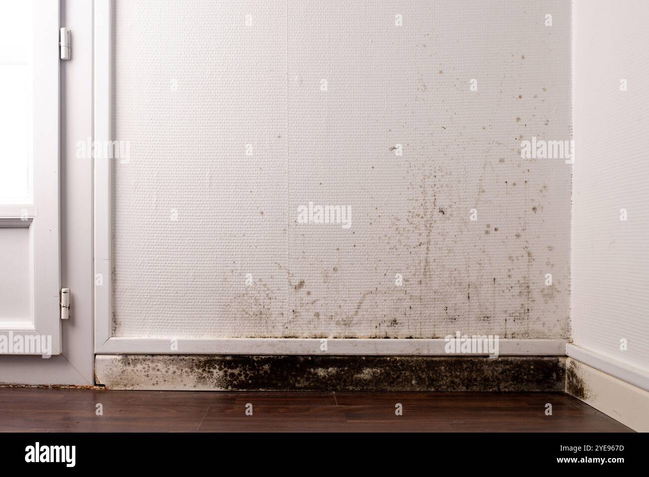 Parete con muffa nera e danni causati dall'acqua vicino alla base nell'angolo della stanza con carta da parati bianca e pavimento in legno scuro, problemi ambientali interni prec Foto Stock
