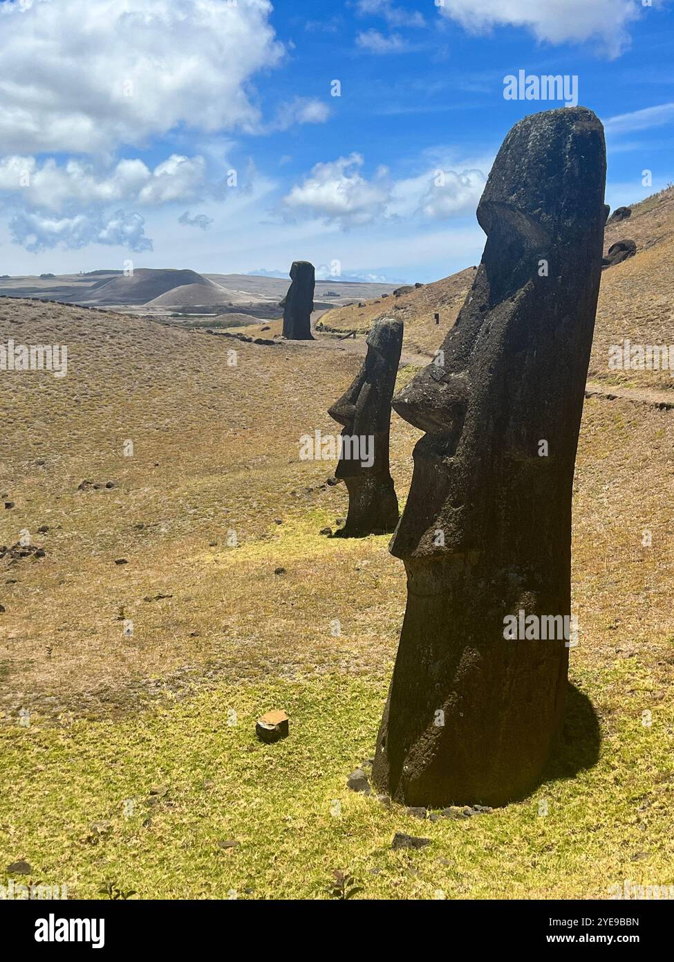 Le statue moai si ergono alte presso la cava di Rano Raraku sull'Isola di Pasqua, in Cile, e si affacciano su vasti paesaggi sotto un cielo nuvoloso. Un sito patrimonio dell'umanità dell'UNESCO. Foto Stock