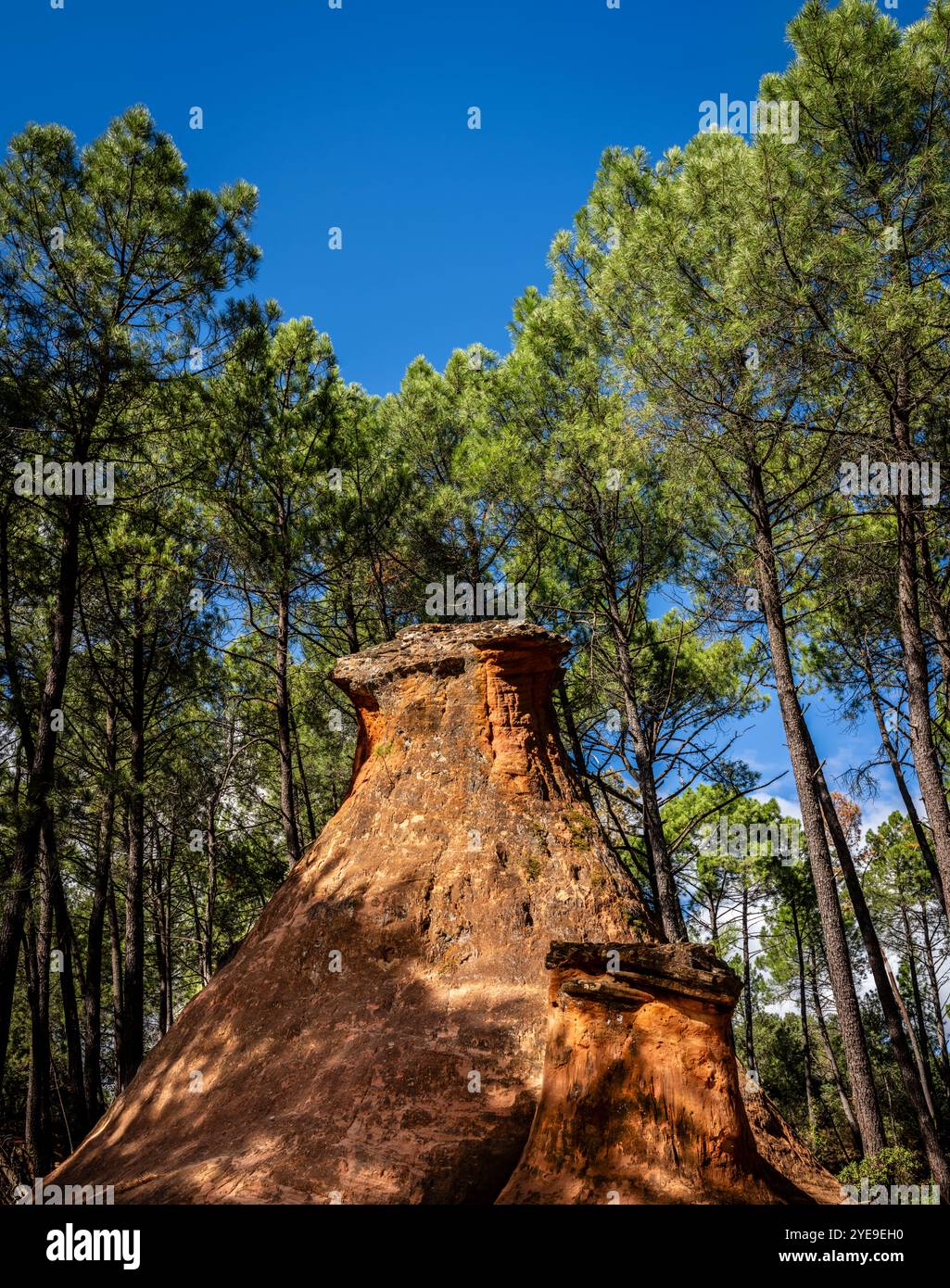 La gemma nascosta di Les Demoiselles Coiffees, a volte conosciuta come camini delle fate, Bedoin, Provenza, Francia Foto Stock