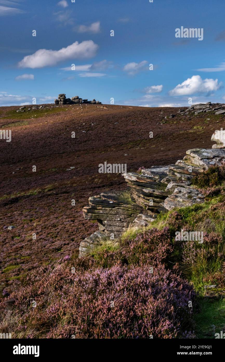 Alla scoperta della formazione di Wheel Stones Rock lungo Derwent Edge, Peak District National Park, Derbyshire, Inghilterra, Regno Unito Foto Stock