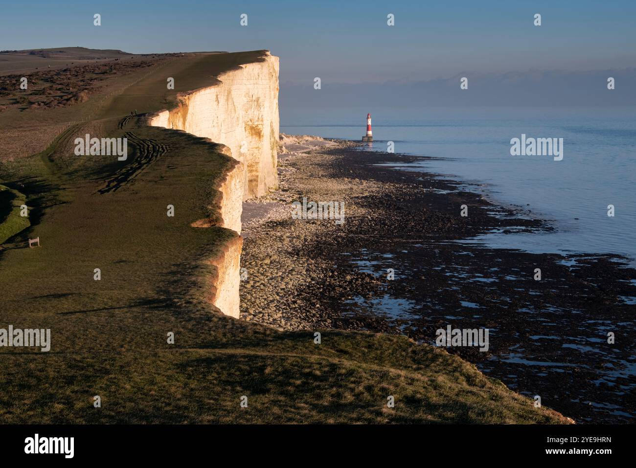 Luce serale sul faro di Beachy Head e Beachy Head, vicino a Eastbourne, South Downs National Park, East Sussex, Inghilterra, Regno Unito Foto Stock