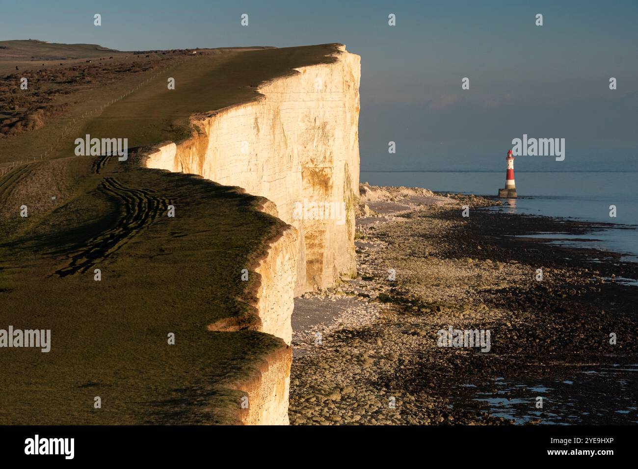 Luce serale sul faro di Beachy Head e Beachy Head, vicino a Eastbourne, South Downs National Park, East Sussex, Inghilterra, Regno Unito Foto Stock