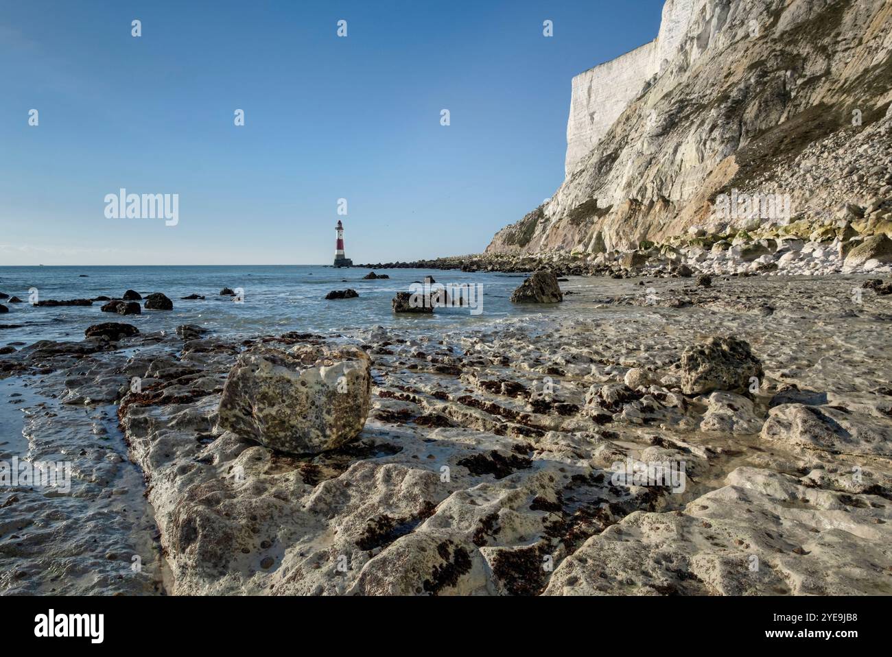 Piattaforma Wave Cut sotto Beachy Head e faro Beachy Head, South Downs National Park, East Sussex, Inghilterra, Regno Unito Foto Stock