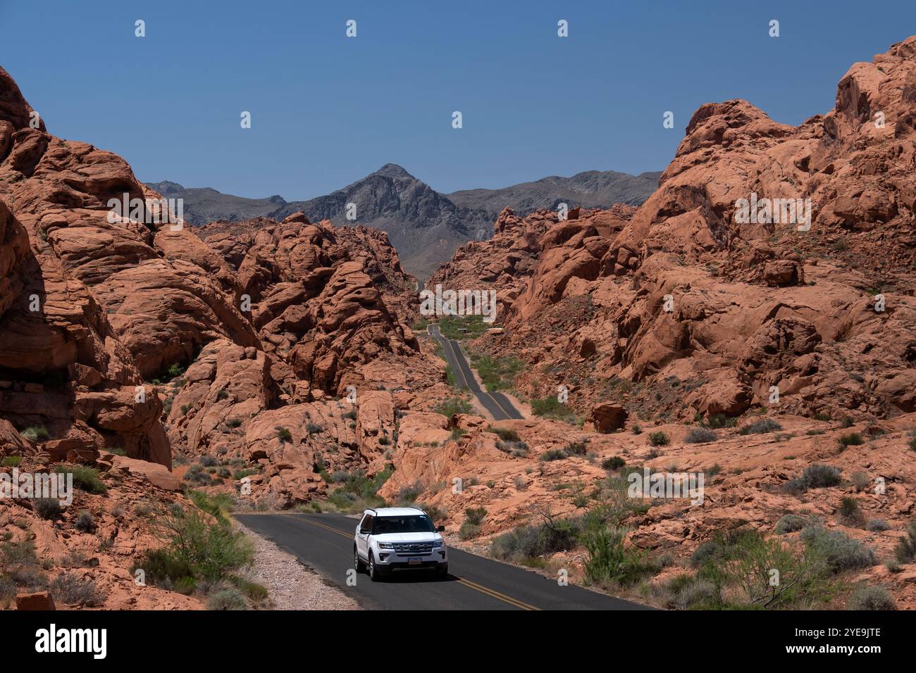 Veicolo a motore che percorre l'autostrada di Mouses Tank Road attraverso il Valley of Fire State Park, Nevada, Stati Uniti d'America, Nord America Foto Stock