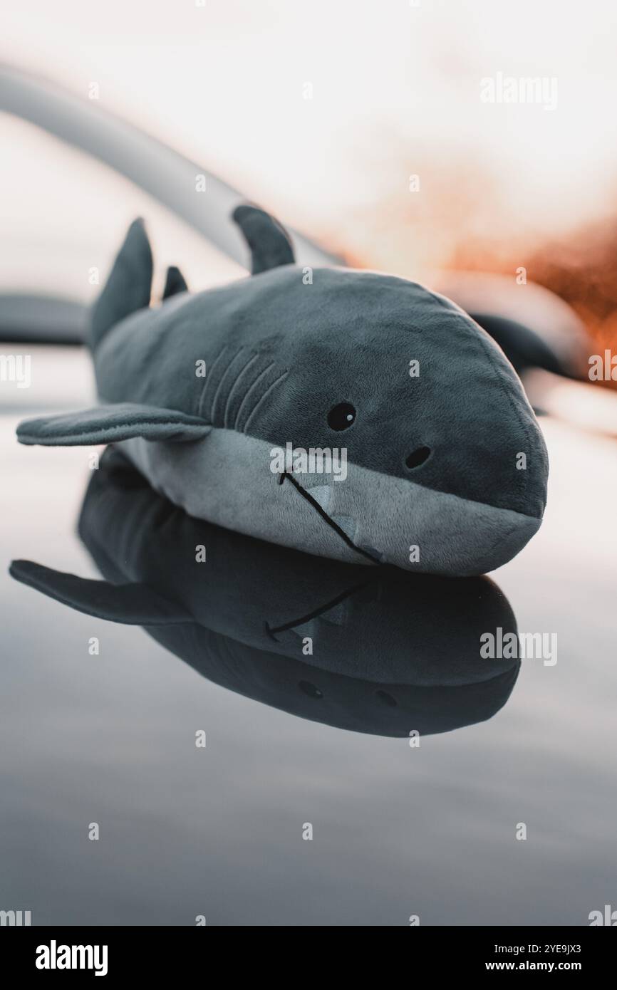 giocattoli per bambini con squalo giocattolo Foto Stock