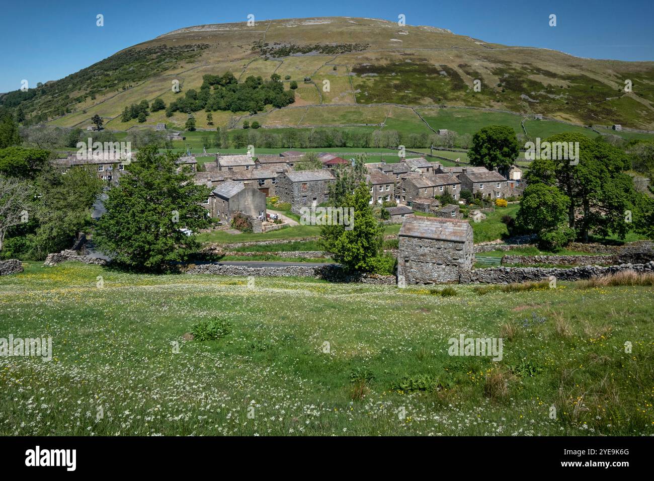 Il villaggio di Thwaite, sostenuto da Kisdon Hill in estate, Swaledale, Yorkshire Dales National Park, Yorkshire, Inghilterra, Regno Unito Foto Stock
