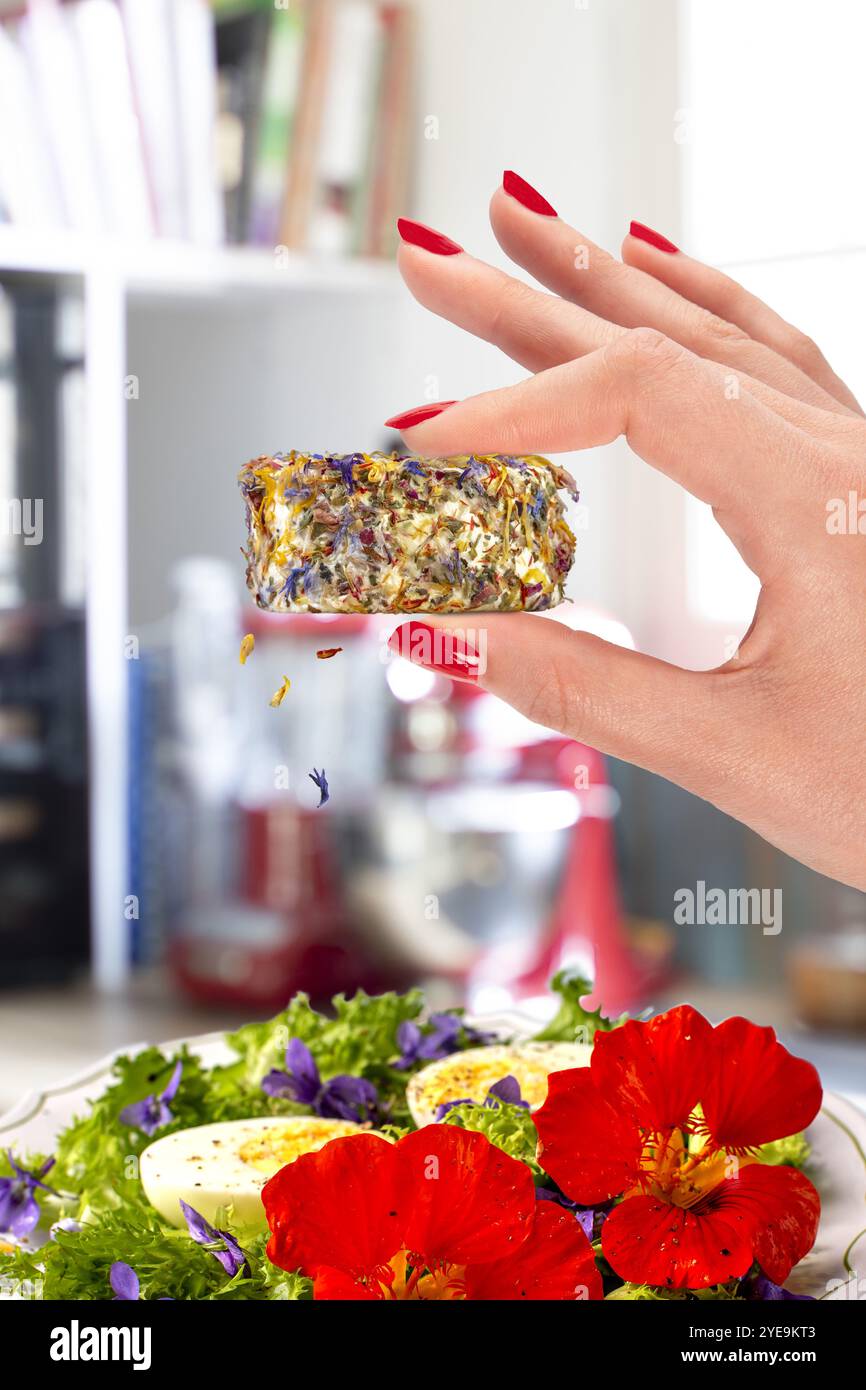 Mano di una ragazza curata con unghie rosse che reggono un formaggio di capra con fiori commestibili. Foto Stock