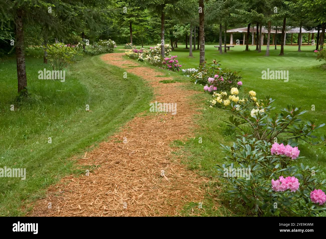 Percorso in giardino fiancheggiato da fiori in primavera sull'isola di Vancouver, British Columbia, Canada; Courtenay, British Columbia, Canada Foto Stock