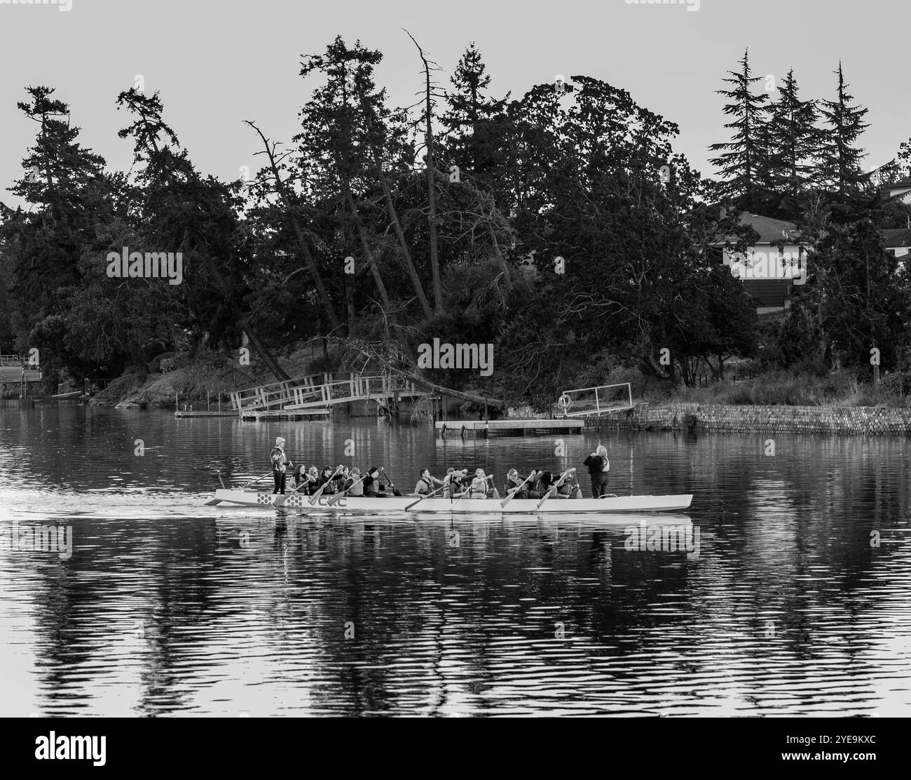 Immagine in bianco e nero di una squadra che pratica su una barca da corsa lungo una costa a Victoria, BC, Canada; Victoria, British Columbia, Canada Foto Stock