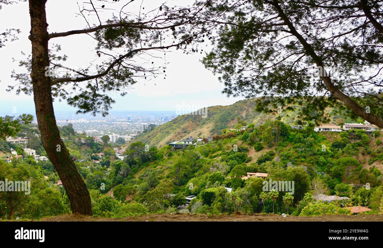 Ammira le esclusive case delle ricche e famose colline di Hollywood, Los Angeles, California, USA, con una foschia inquinante Foto Stock