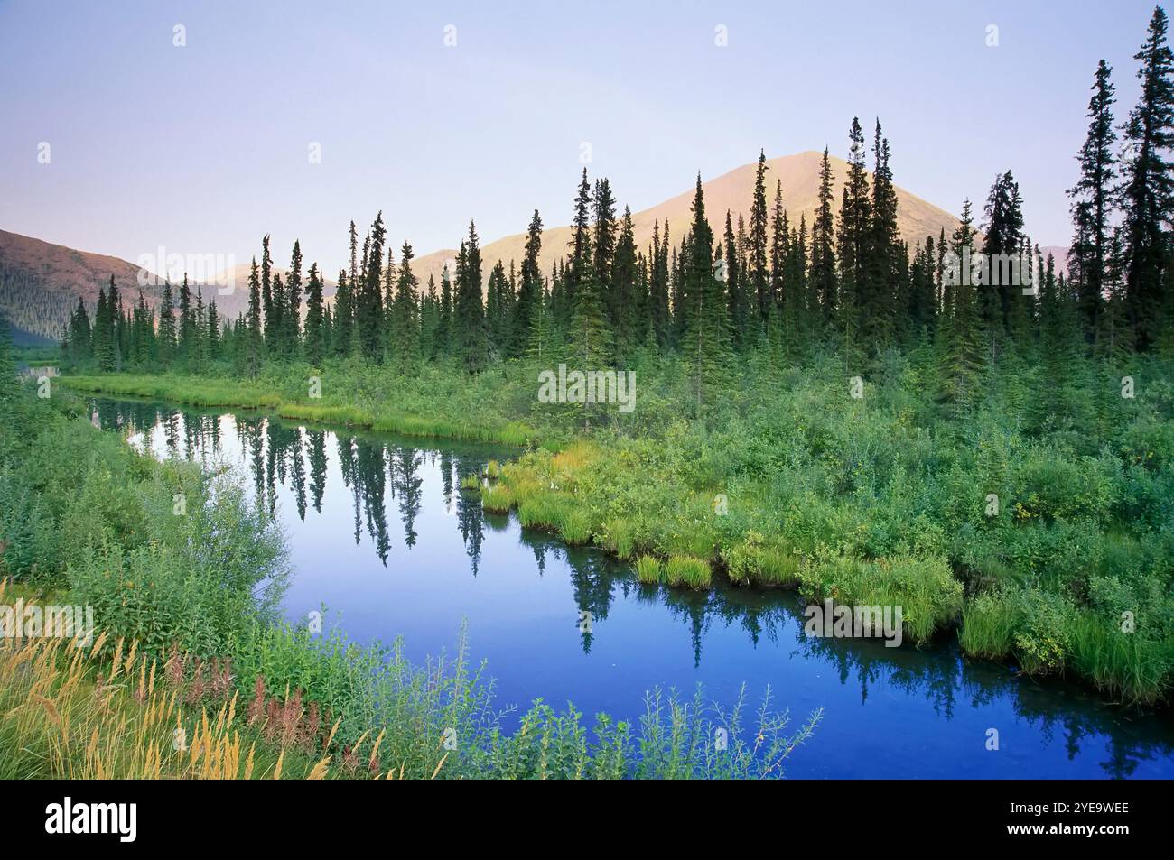 Blackstone River Valley e Ogilvie Mountains nello Yukon, Canada; Yukon, Canada Foto Stock