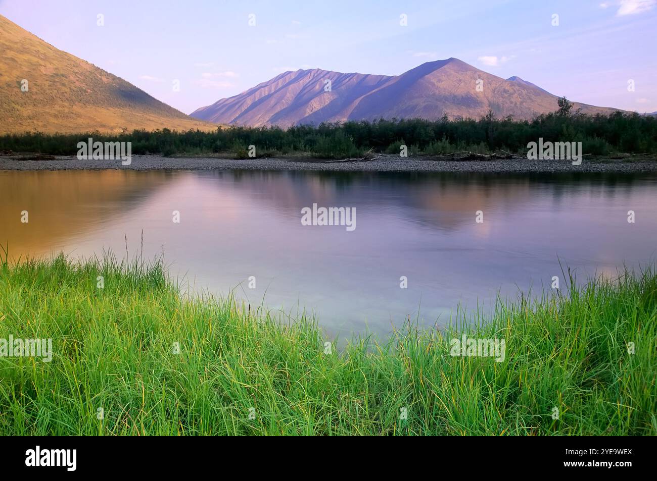 Blackstone River Valley e Ogilvie Mountains nello Yukon, Canada; Yukon, Canada Foto Stock