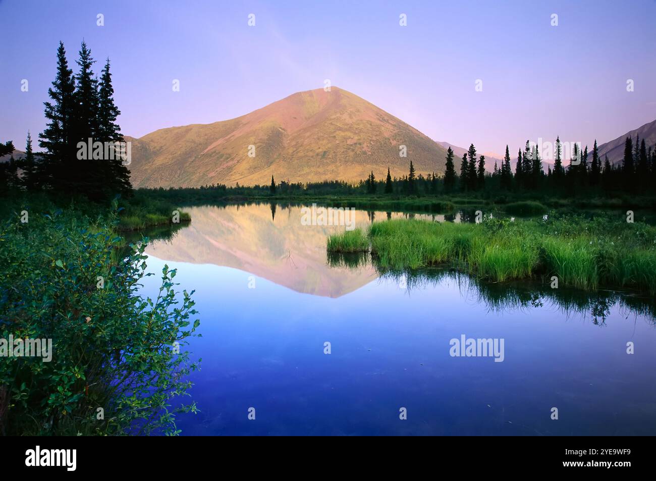 Montagna e fiume nella Blackstone River Valley, Ogilvie Mountains di Yukon, Canada; Yukon, Canada Foto Stock