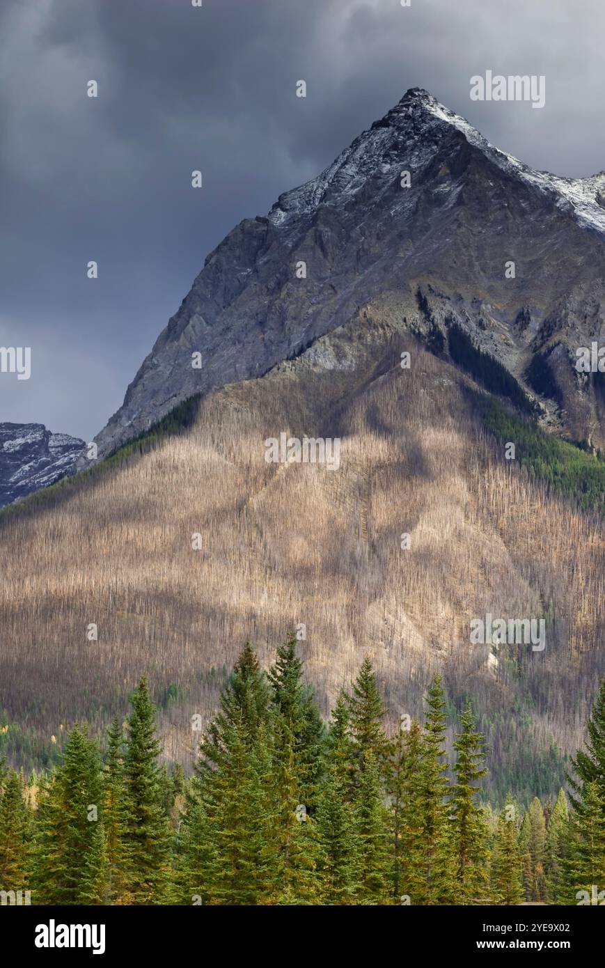 Chancellor Peak nel Parco Nazionale di Yoho; British Columbia, Canada Foto Stock