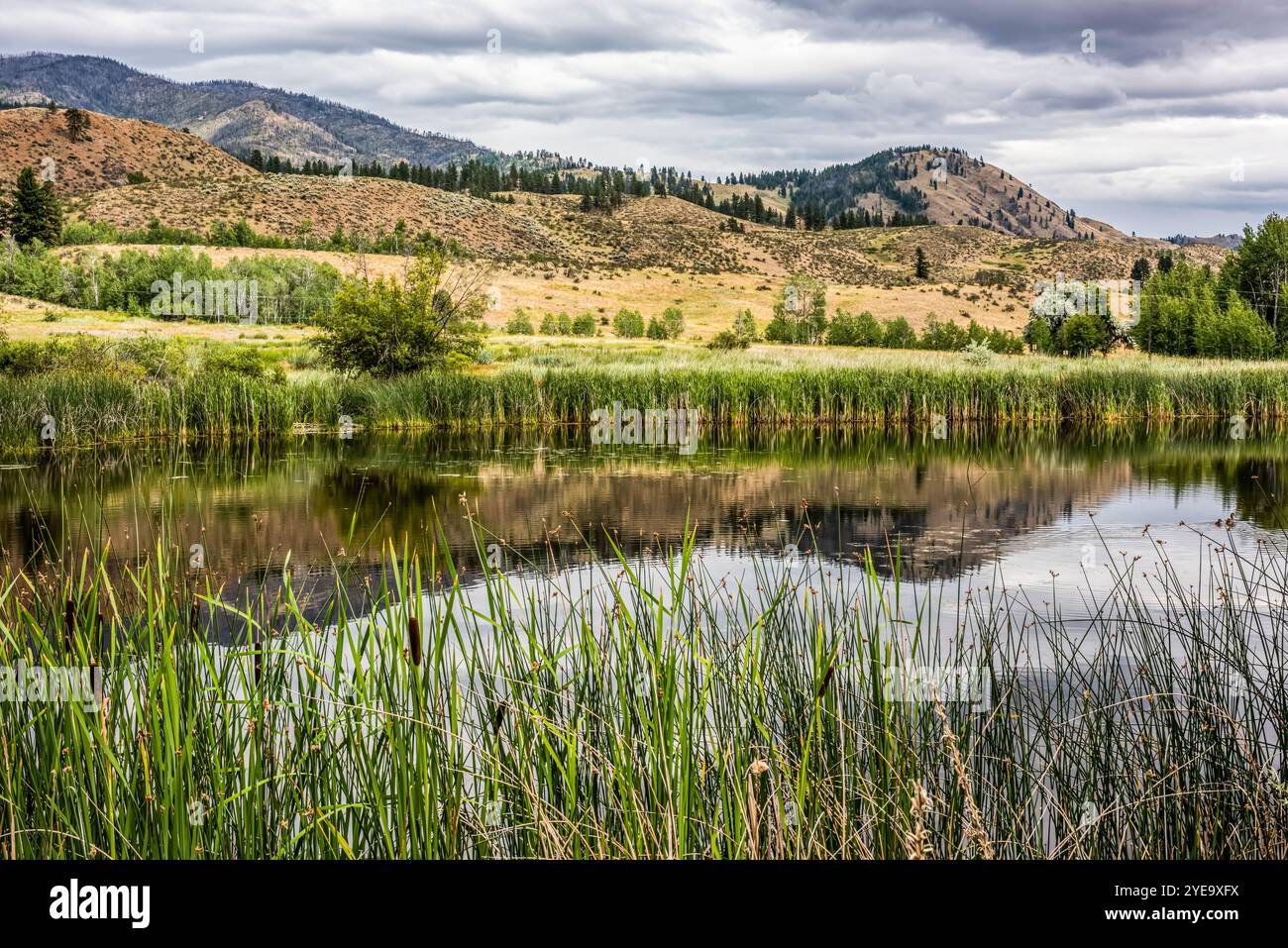 Riflessi di colline su uno stagno tranquillo vicino alla città di Winthrip nella parte orientale dello stato di Washington, Stati Uniti; Winthrip, Washington, Stati Uniti d'America Foto Stock