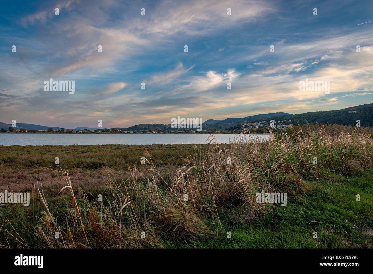 Canne che crescono sul bordo di una riserva naturale paludosa con splendide nuvole di cielo color tramonto. Natura, ecologia e ambiente. Foto Stock