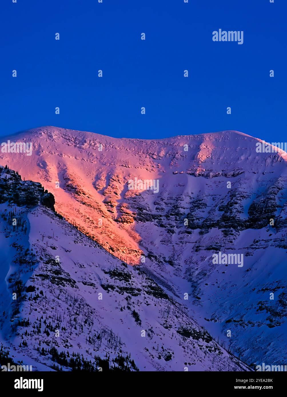 La luce del sole che illumina una cresta di montagna con luce rosa, la cresta di Barnaby nel Castle Provincial Park, Alberta, Canada Foto Stock