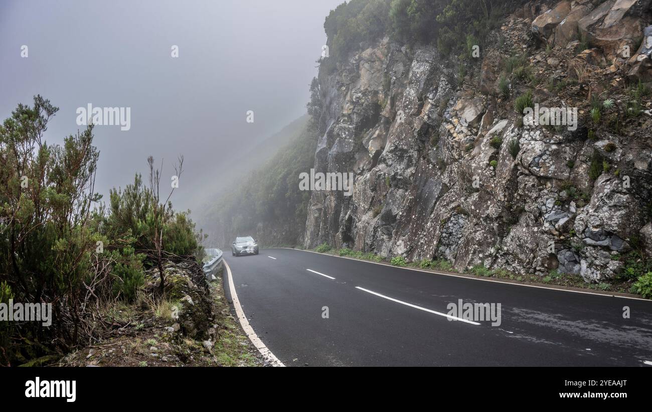 Guida attraverso la nebbia lungo un'aspra scogliera sulla costa di Madeira, Portogallo; Santana, Madeira, Portogallo Foto Stock