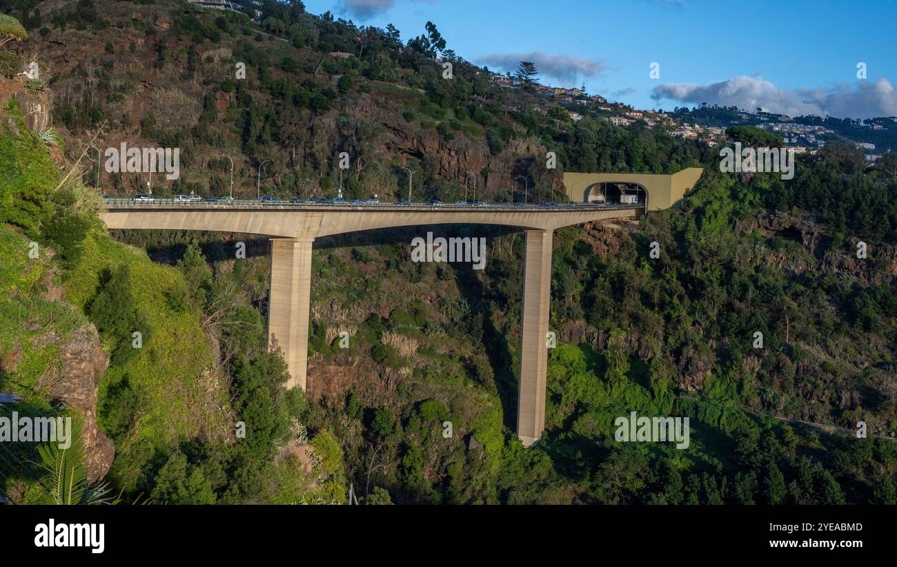 Strada sopraelevata che attraversa una collina con vegetazione lussureggiante e conduce a un tunnel nella città di Funchal sull'isola di Madeira, in Portogallo Foto Stock