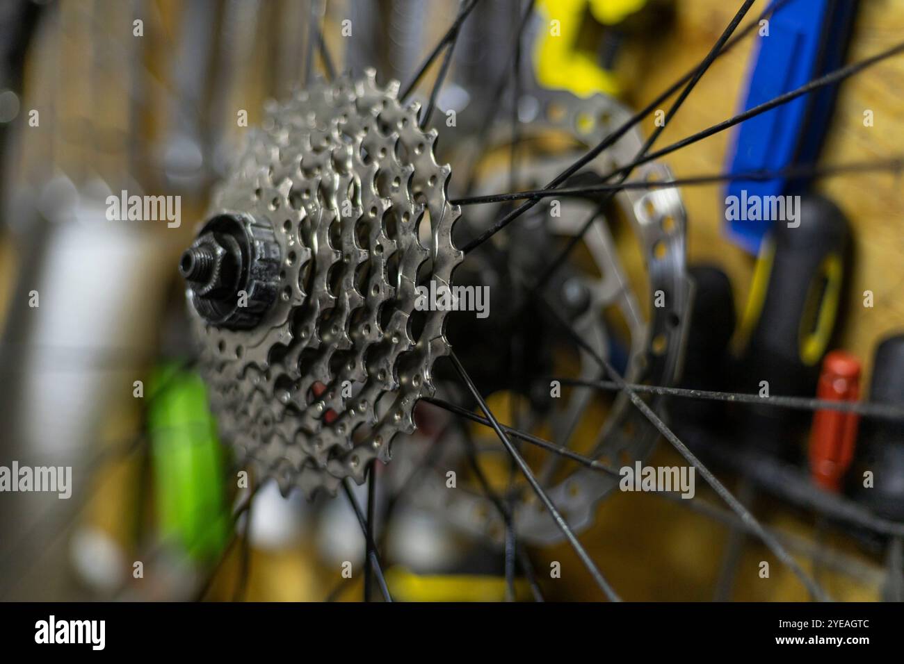 Installazione della cassetta dopo la manutenzione della trasmissione della bicicletta Foto Stock