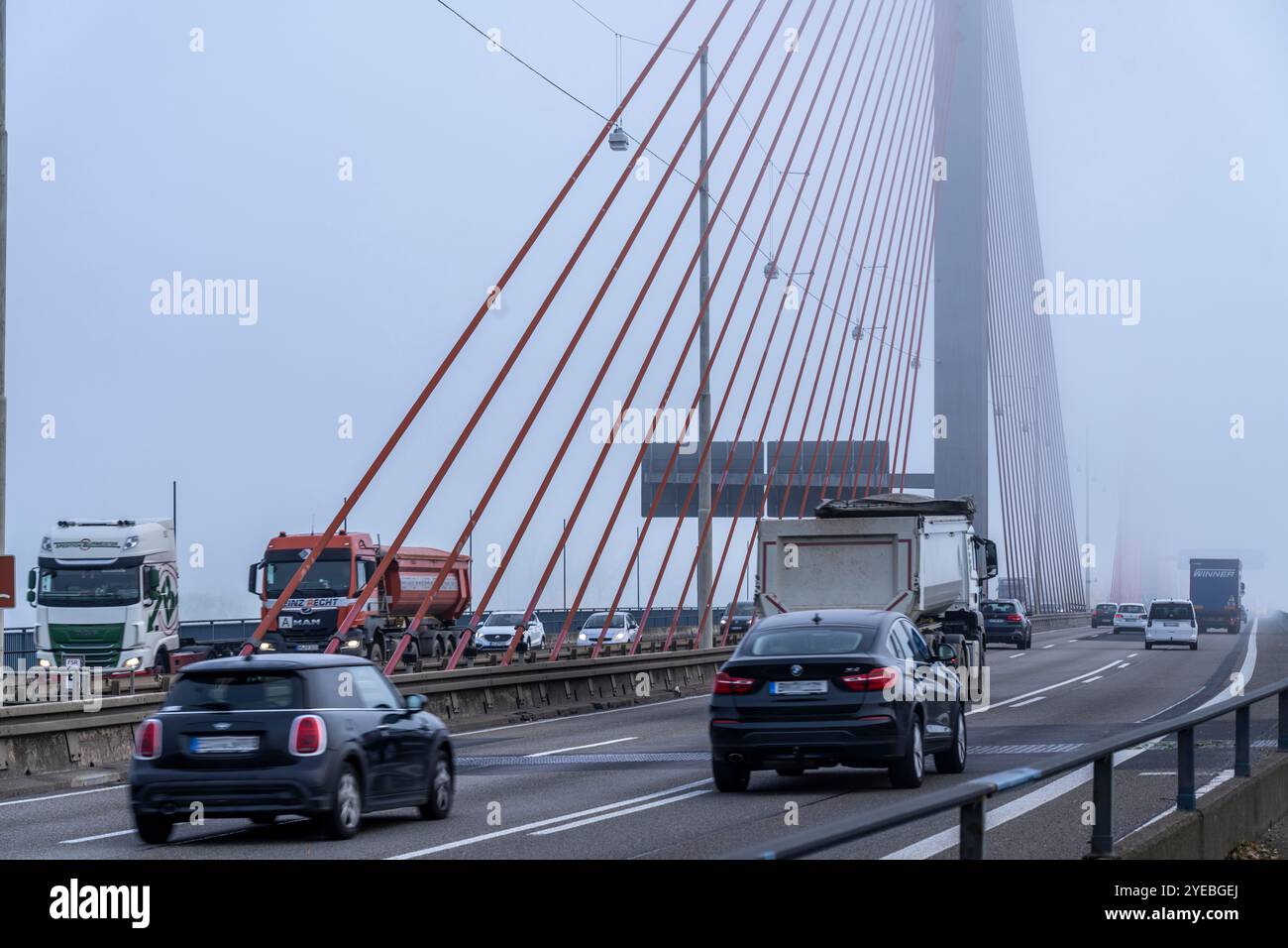 Friedrich-Ebert-Bridge sul Reno vicino a Bonn, chiamato anche North Bridge, ponte autostradale della A565, ponte strallato, nebbia mattutina, NRW, Germania Foto Stock