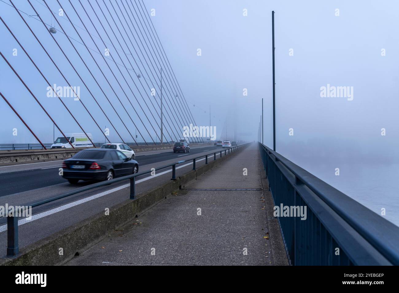 Friedrich-Ebert-Bridge sul Reno vicino a Bonn, chiamato anche North Bridge, ponte autostradale della A565, ponte strallato, nebbia mattutina, NRW, Germania Foto Stock