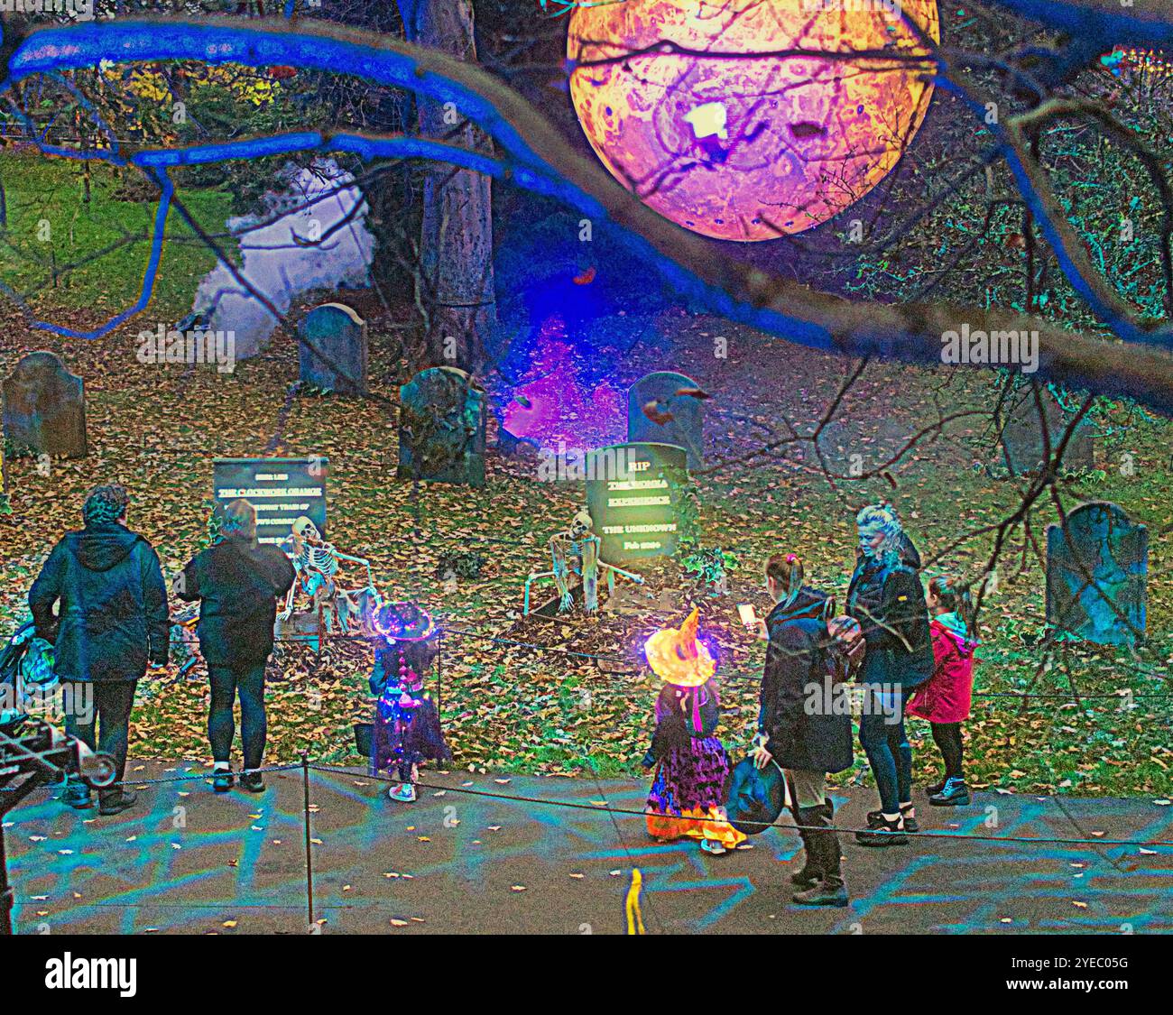 Glasgow, Scozia, Regno Unito. 30 ottobre 2024. Meteo nel Regno Unito: Clima autunnale e un letto di foglie per Halloween come “Glasglow” nel parco pubblico botanico nel frondoso West End di notte girato dall'esterno sulla strada con il cimitero di scheletro "ossa" e la tomba di "l'ignoto" dalla famosa esperienza di wonka con il suo scheletro. Credit Gerard Ferry/Alamy Live News Foto Stock