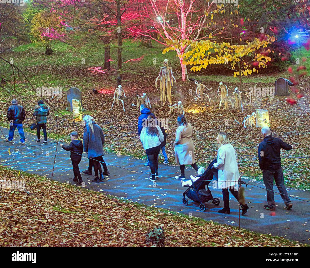 Glasgow, Scozia, Regno Unito. 30 ottobre 2024. Meteo nel Regno Unito: Clima autunnale e un letto di foglie per Halloween come “Glasglow” nel parco pubblico botanico nel frondoso West End di notte girato dall'esterno sulla strada con il cimitero di scheletro "ossa" e la tomba di "l'ignoto" dalla famosa esperienza di wonka con il suo scheletro. Credit Gerard Ferry/Alamy Live News Foto Stock