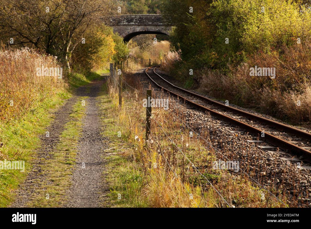 Una sezione della South Tynedale Railway vicino ad Alston, Cumbria, Regno Unito, in autunno Foto Stock