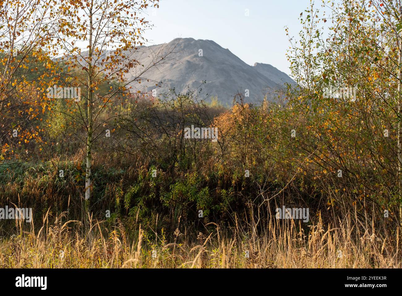 Paesaggio autunnale panoramico con montagne sullo sfondo e fogliame dorato in primo piano. Concetto di bellezza stagionale, natura tranquilla e esplorazione rurale Foto Stock