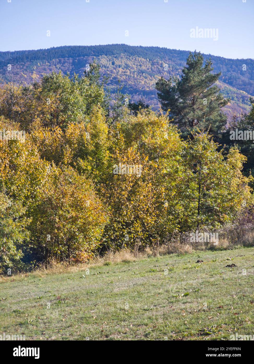 Incredibile vista autunnale del monte Plana, della regione di Sofia, Bulgaria Foto Stock