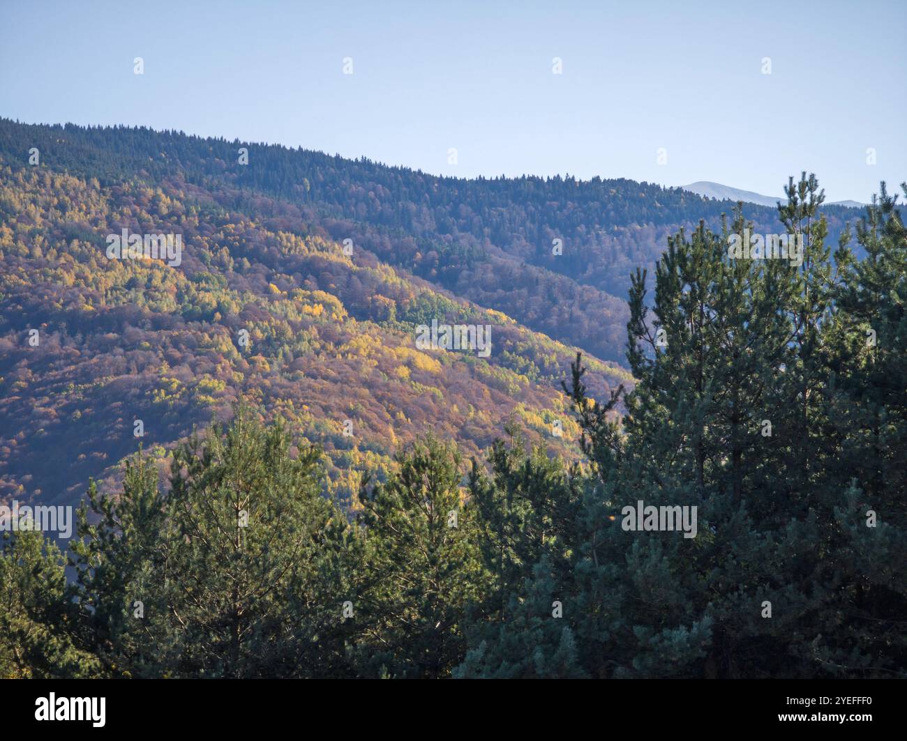 Incredibile vista autunnale del monte Plana, della regione di Sofia, Bulgaria Foto Stock