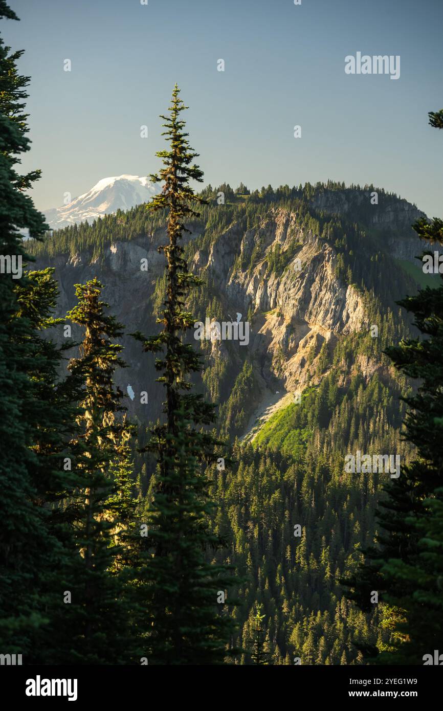 Il Monte Adams sorge sull'orizzonte nel Mount Rainier National Park Foto Stock