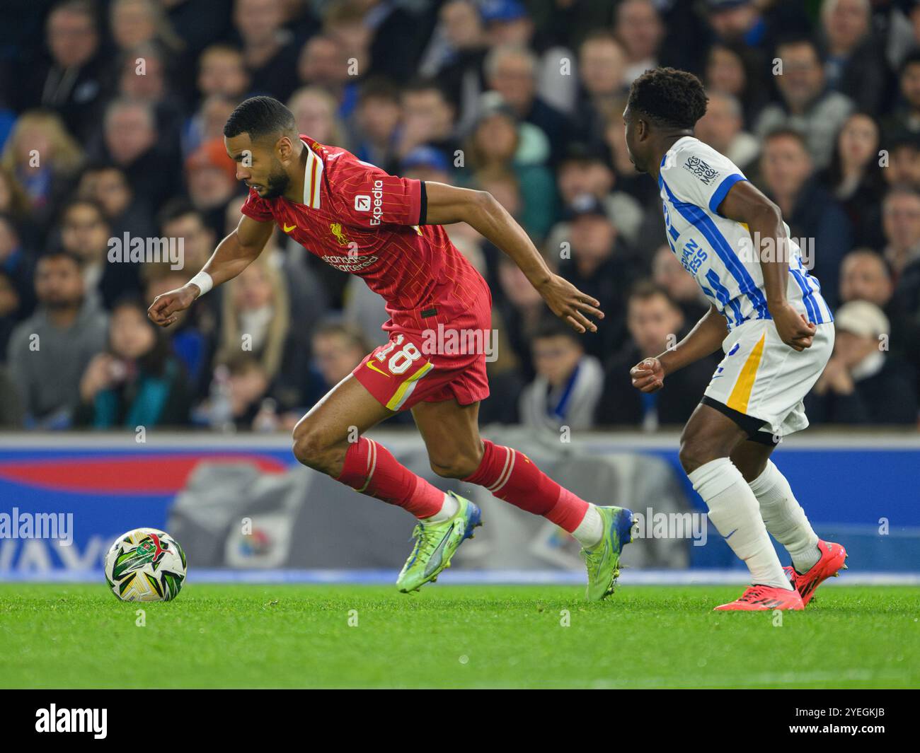 Brighton, Regno Unito. 21 settembre 2024. Brighton, Inghilterra - ottobre 30: Cody Gakpo (a sinistra) del Liverpool sotto la pressione del Tariq Lamptey di Brighton & Hove Albion durante la partita della Carabao Cup 2024/25 tra Brighton & Hove Albion FC e Liverpool FC all'Amex Stadium il 30 ottobre 2024 a Brighton, Inghilterra. (David Horton/SPP) credito: SPP Sport Press Photo. /Alamy Live News Foto Stock