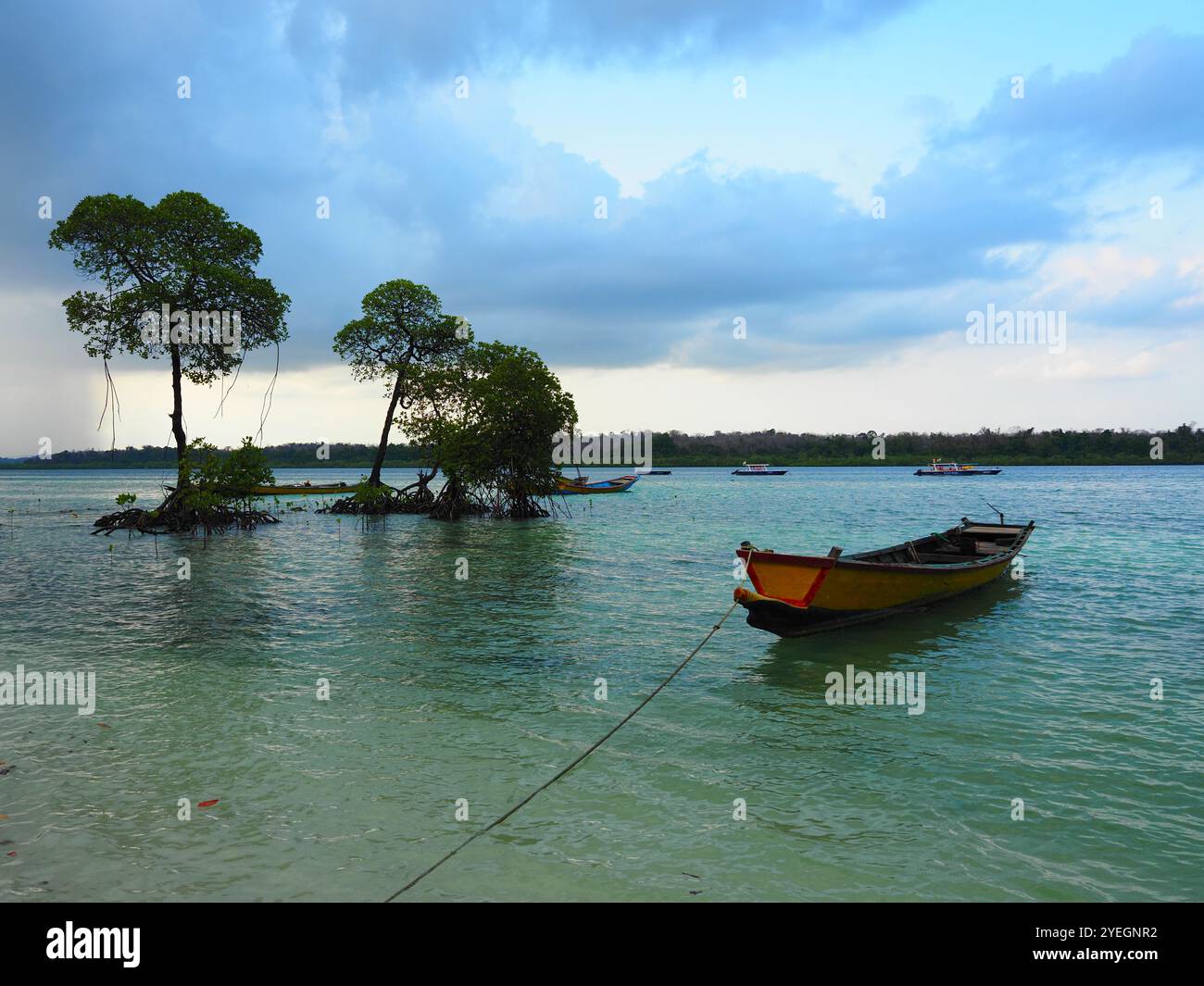 Isola di Havelock (Swaraj Dweep), Isole Andamane e Nicobare, Mare delle Andamane, India Foto Stock