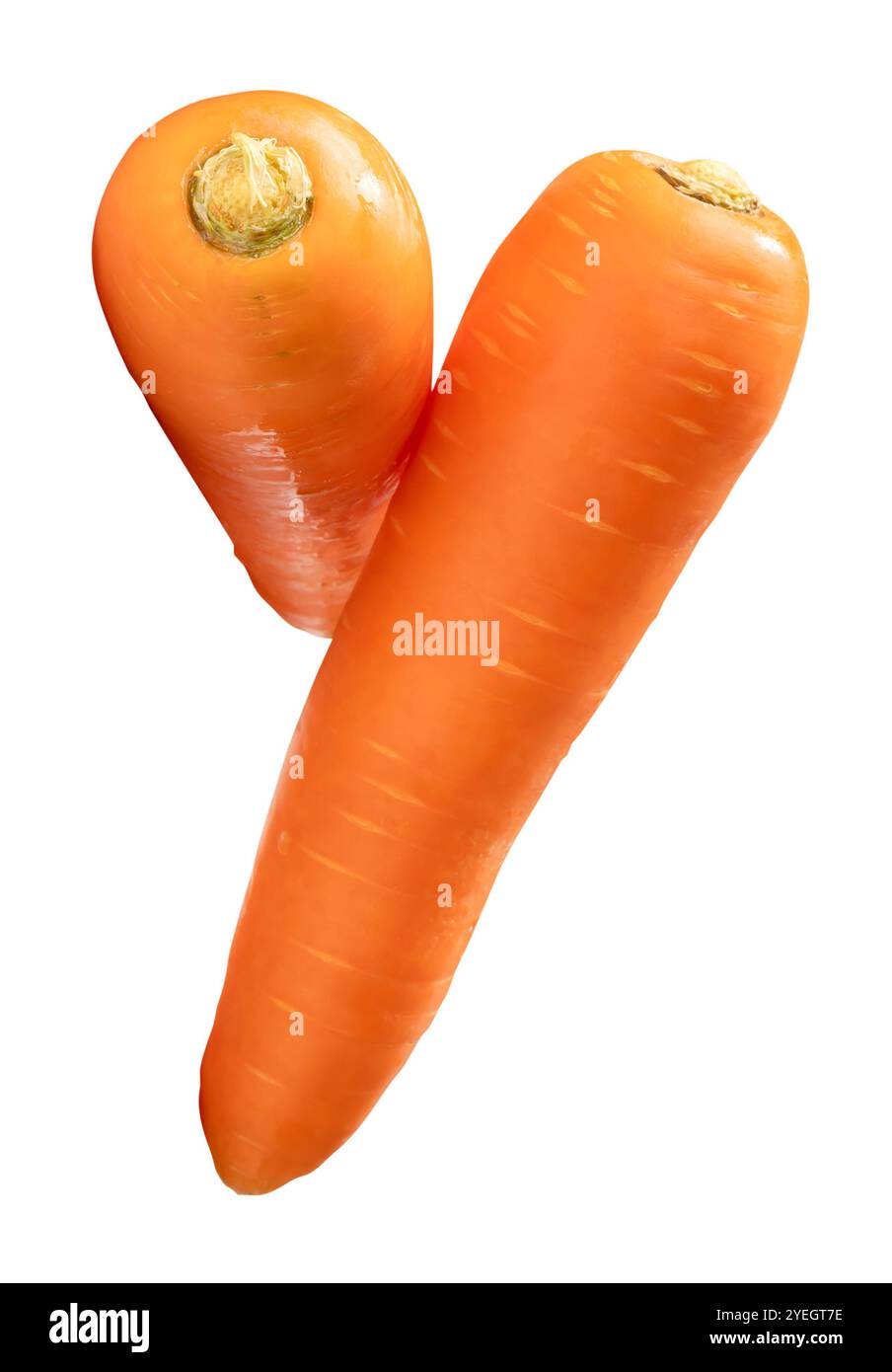La vista dall'alto delle carote arancioni fresche nella pila è isolata su sfondo bianco con percorso di ritaglio. Foto Stock
